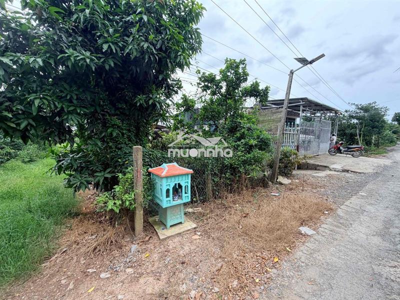 Cần bán 2 căn nhà và 9 công vườn mít đang lấy trái