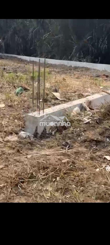 Bán 525 m2 đất trồng cây lâu năm lê văn lương , nhơn đức, nhà bè - 3
