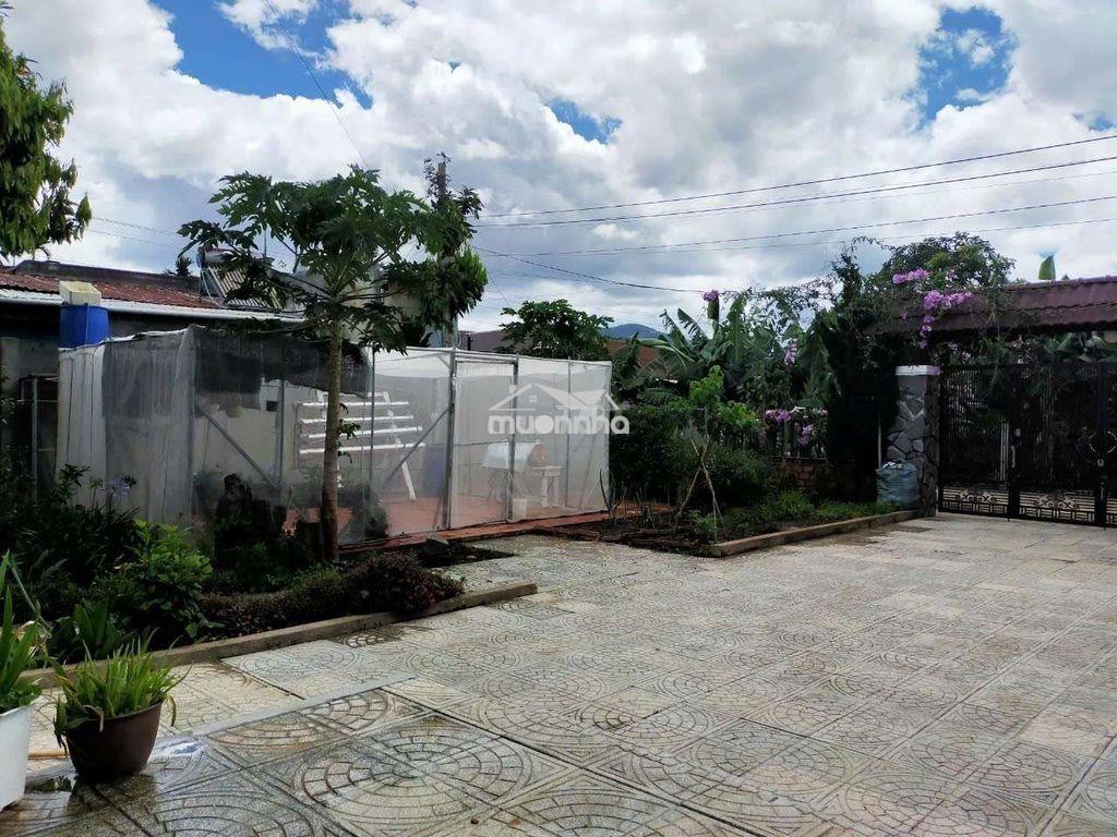 Nhà sân vườn - 3