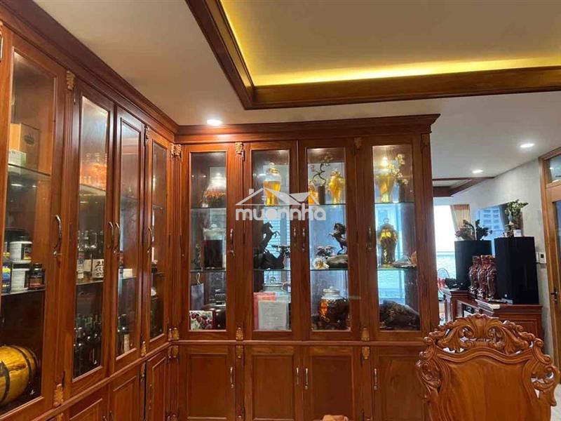 ✅Bán nhà hxh 8m bờ bao tân thắng,dt 8mx16m, đúc 5 tấm mới, dtsd 599m2
