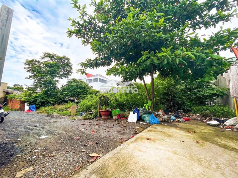 Bán gấp lô đất sào trục 16 phường tân triều giá ngộp