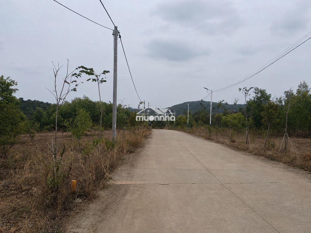 Bán gấp - định quán, đồng nai - 12 miếng nền - 1.666,7m2 - 13,5 tỷ - 2