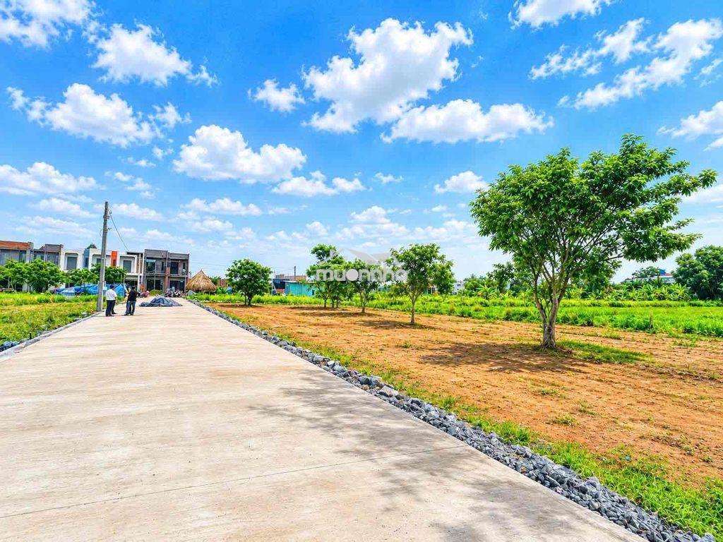 Bán lô đất 98m2 giá 1ty1 shr full thổ cư p.tân triều đồng nai - 3