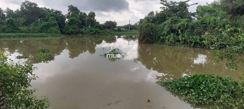 Chủ kẹt tiền, bán gấp lô đất view sông - 103m2 (ngang 6,19m) nhỉnh 2tỷ - 2