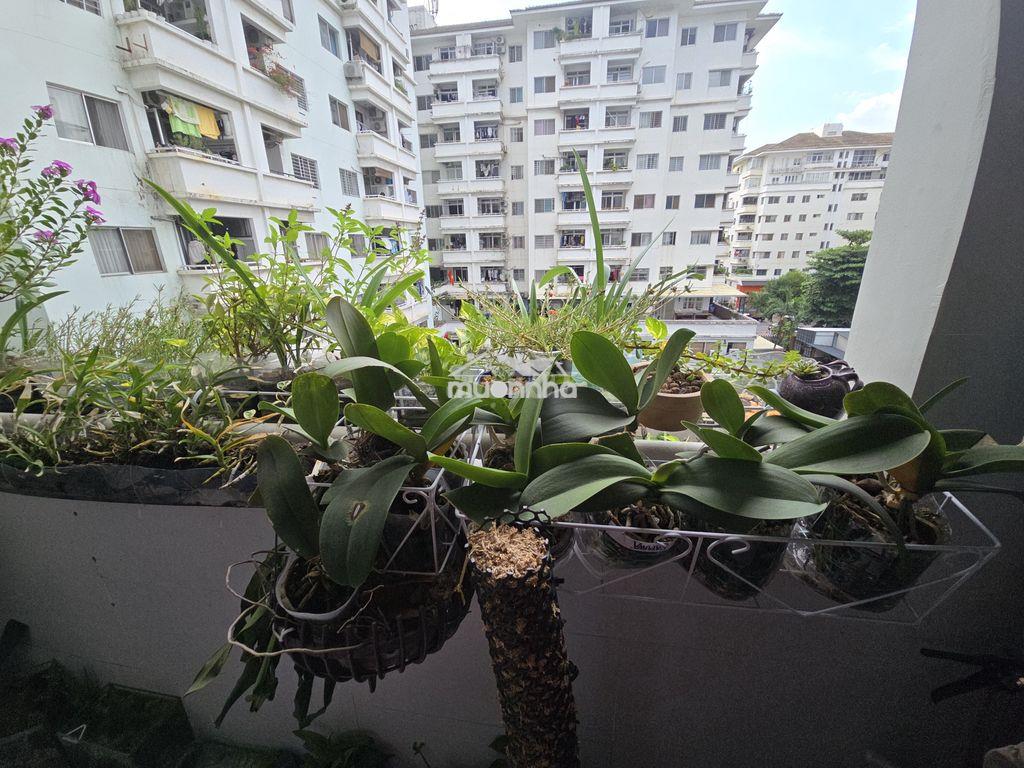 Chính chủ cần bán chung cư hưng vượng 3. phú mỹ hưng, quận 7. - 4