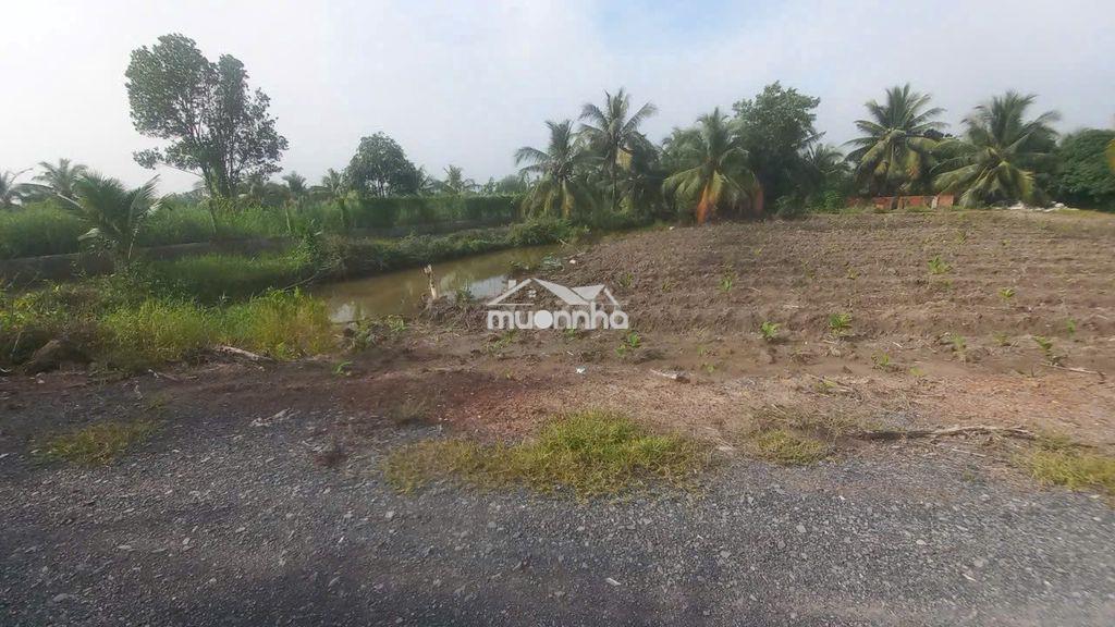 Bán 1.000 m² đất kênh 9 (võ văn kiệt) tân nhựt. giá 5,5 tỷ - 3