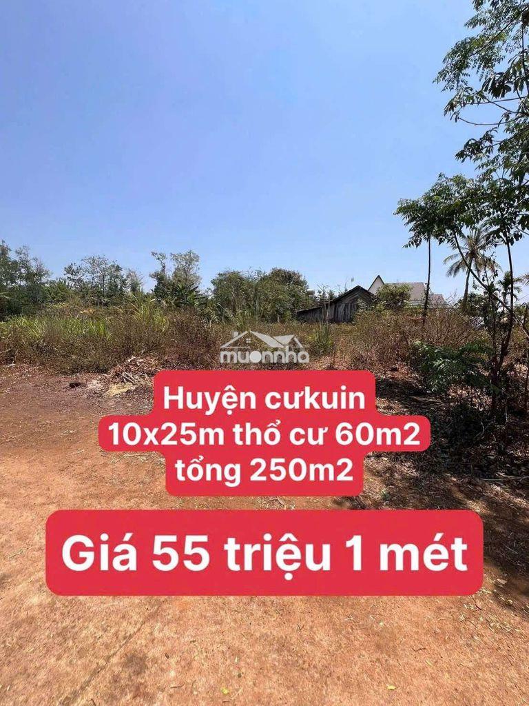 🔥 Đất đẹp cưkuin – 250m², có 60m² thổ cư – giá chỉ 55 triệu/mét 🔥