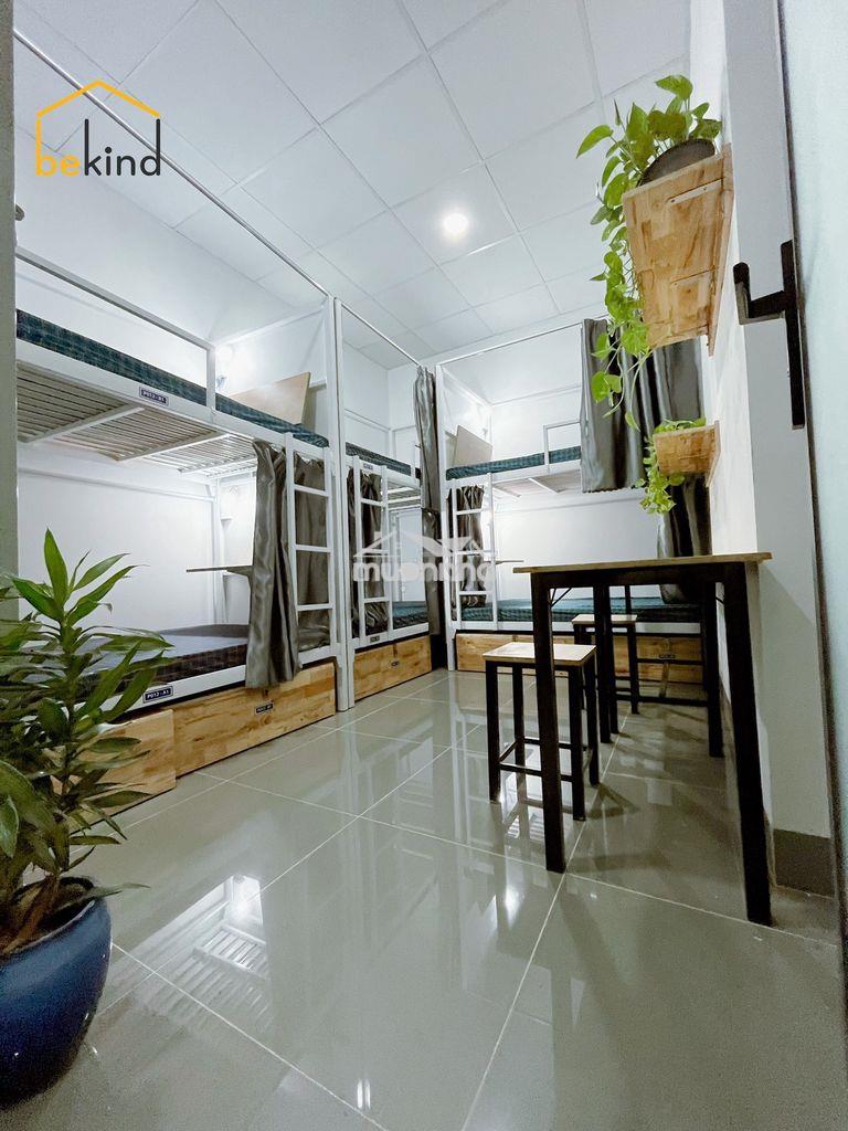 🔥 Ktx nam 22/2 đường 7, p. linh xuân – bekind home - 4