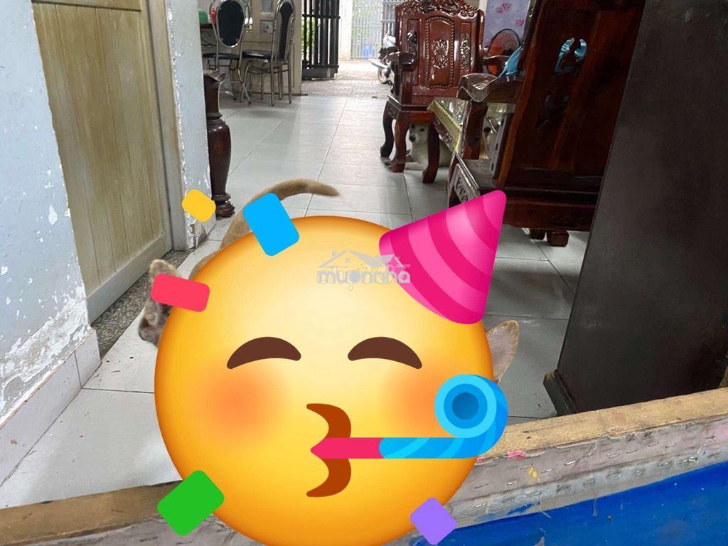 🔥 Xe hơi đỗ cửa – 180m² – 3pn – vừa ở vừa làm xưởng/văn phòng 🔥 - 4