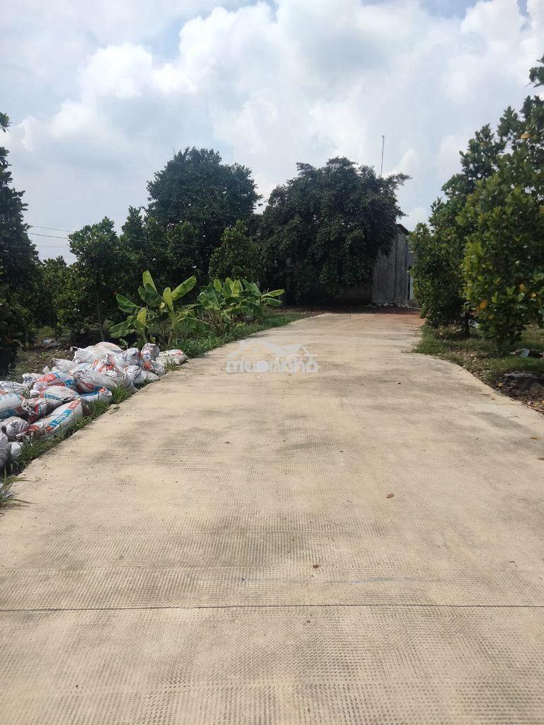 Đất xào giá rẻ - 3