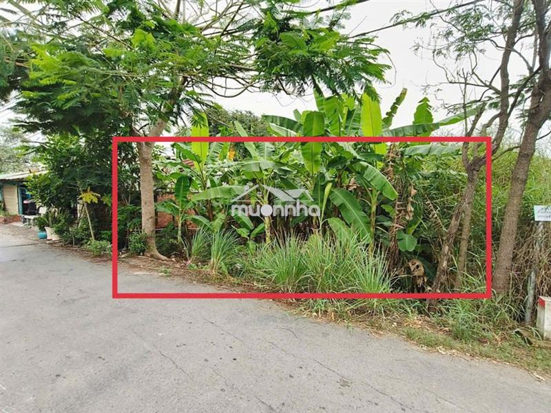 Bán đất quy đức  bình chánh