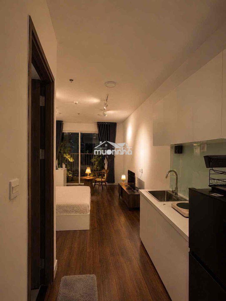 Cho thuê căn hộ sunrise riverside 1pn 1wc full nt 35m2  quận7 10tr500 - 2