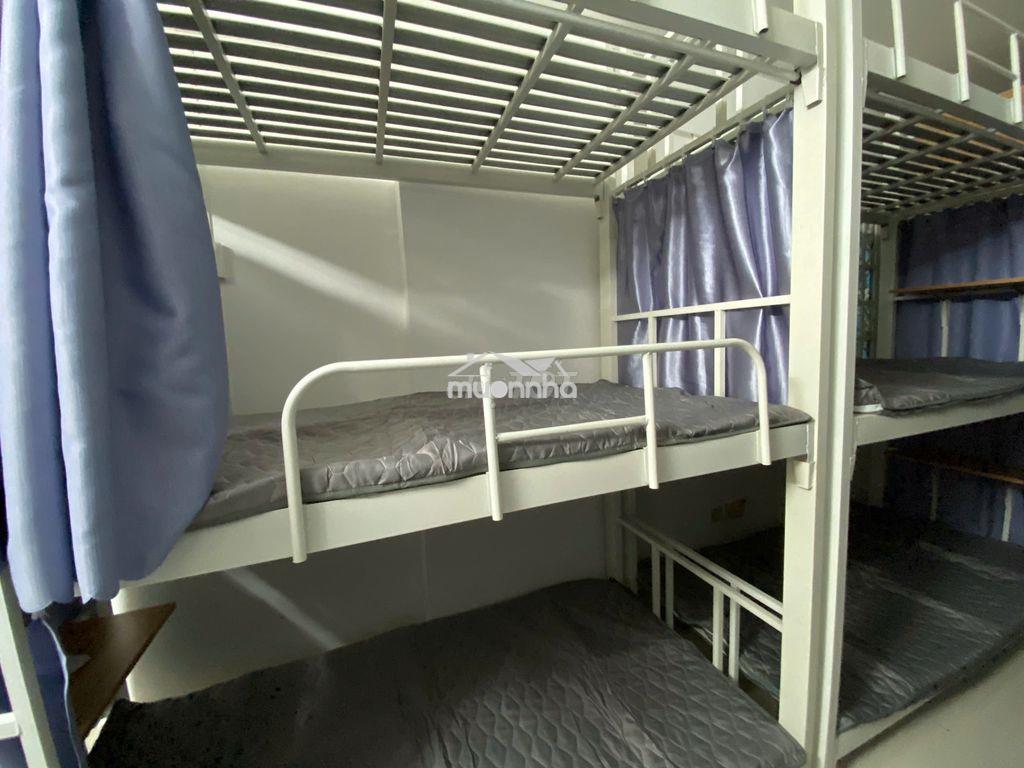 Khai trương 30 giường ktx ngay đh gtvt, hutech, ngoại thương, uef - 4