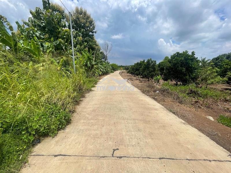Bán 2000m2 đất đang trồng mít ruột đỏ,mặt tiền đường bê tong,700t