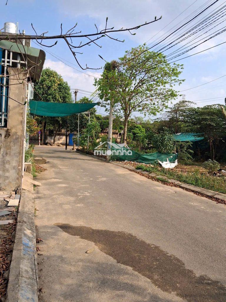 Lô đất lẻ gần cổng 11 sổ riêng thổ cư giá chỉ hơn 1 tỷ xíu - 3
