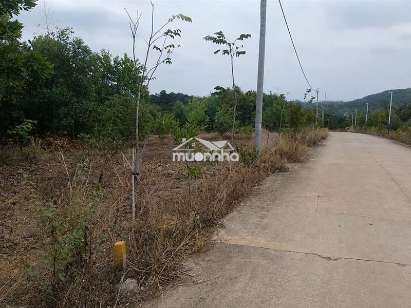 Bán gấp - định quán, đồng nai - 12 miếng nền - 1.666,7m2 - 13,5 tỷ