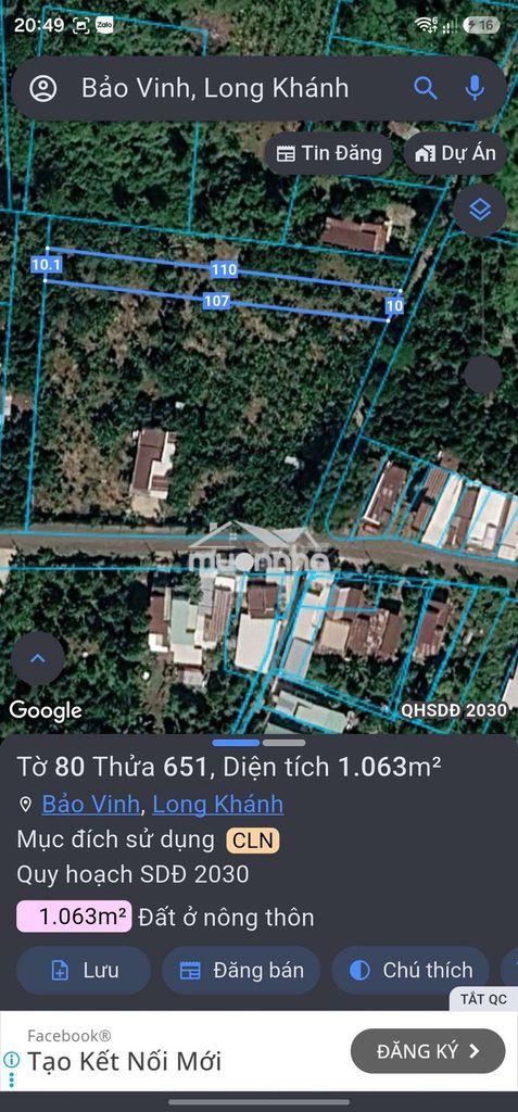 Cc cần bán lô đất trồng cln đẹp – giá đầu tư tại long khánh, đồng nai