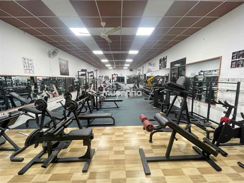 Cho thuê mặt bằng kinh doanh, nhà ở nguyên căn, kho