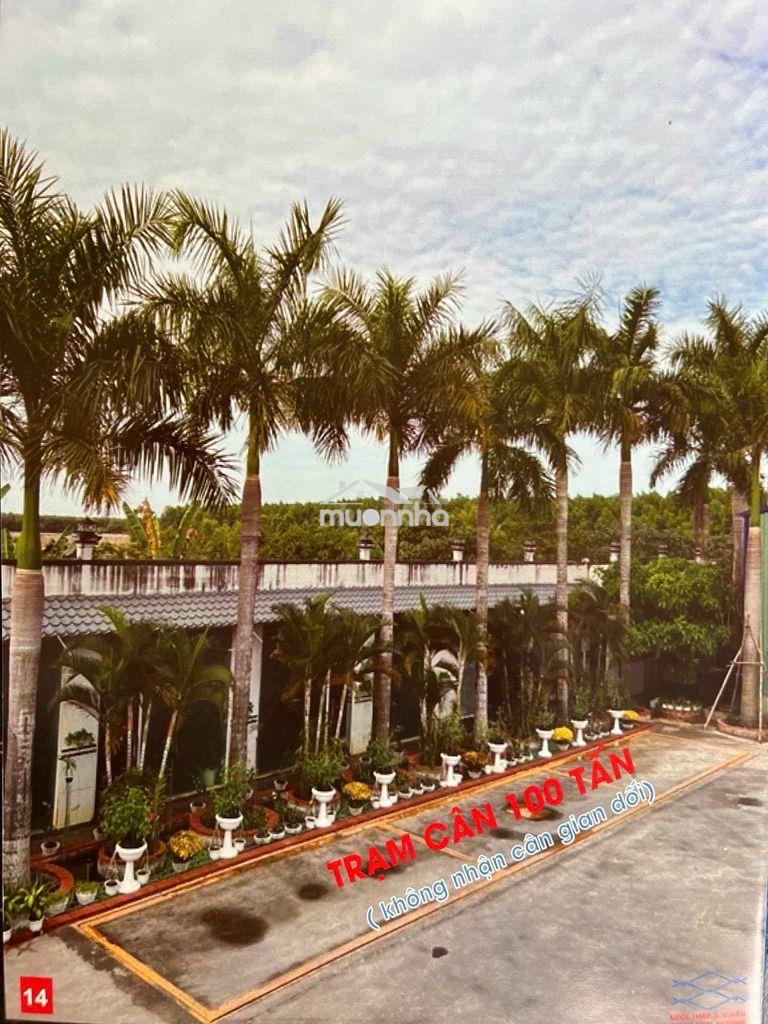 Cho thuê đất - kho - xưởng - giá rẻ - 4