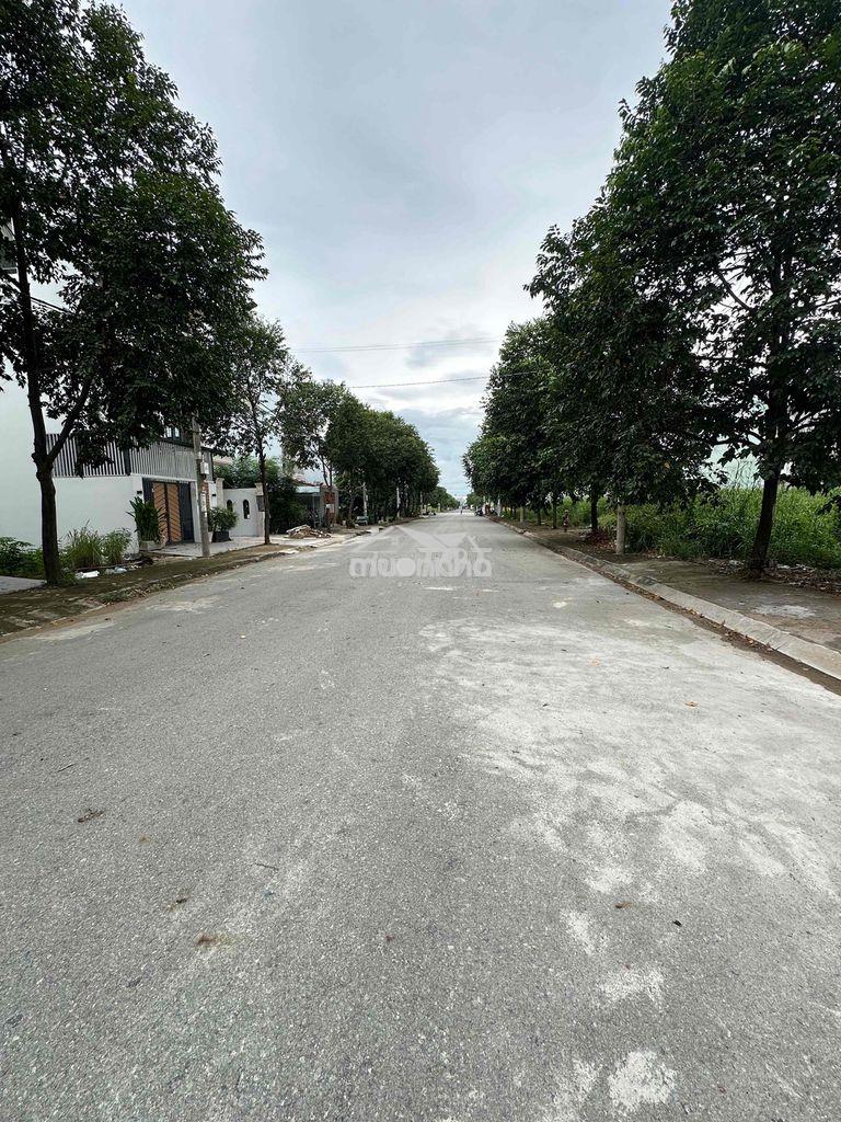Nhà phố riêng lẻ - Ảnh 2