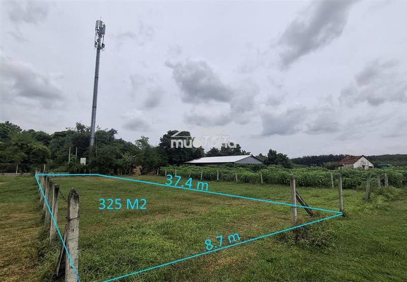 🌟 Bán lô đất 325m² – giá chỉ nhỉnh 3tr/m2 – củ chi, tp.hcm 🌟
