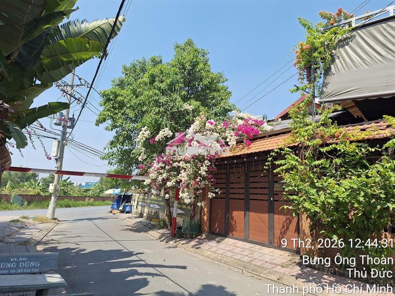 Cho thuê nhà văn phòng