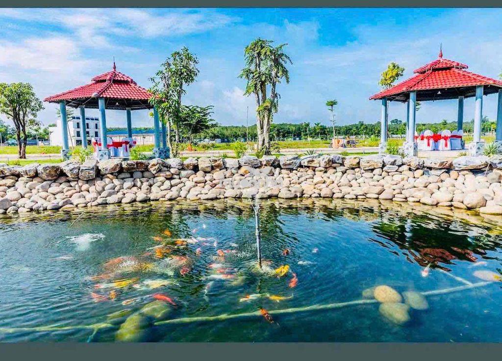 Đất nền tp.hcm mới. khu đô thị vip nhất. sổ hồng công chứng ngay. - Ảnh 2