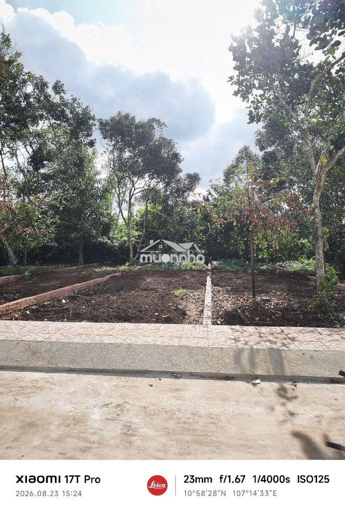 Đất nền p. bình lộc đường bê tông rộng 16m với 135m2 thổ cư sổ riêng - Ảnh 2