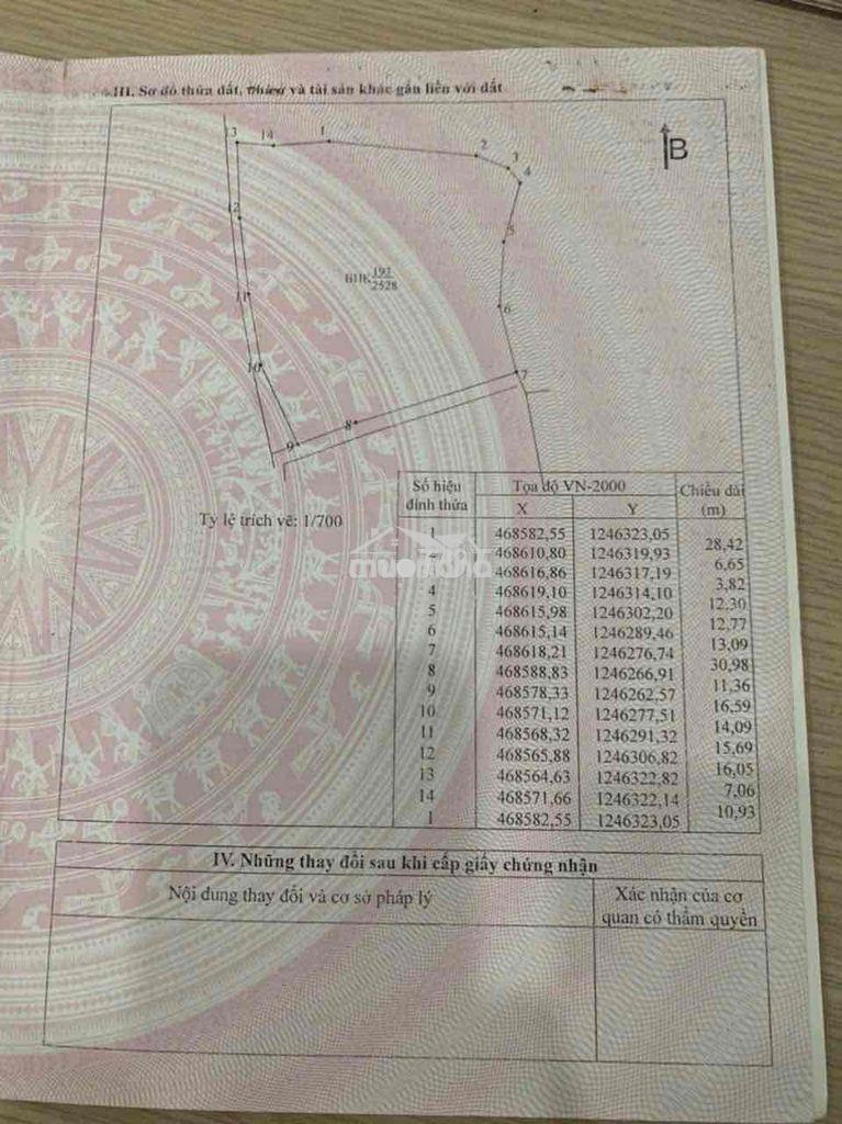 Bán đất phường tân phú đồng nai - Ảnh 3