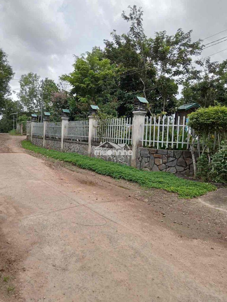 Bán đất phường tân phú đồng nai - Ảnh 2