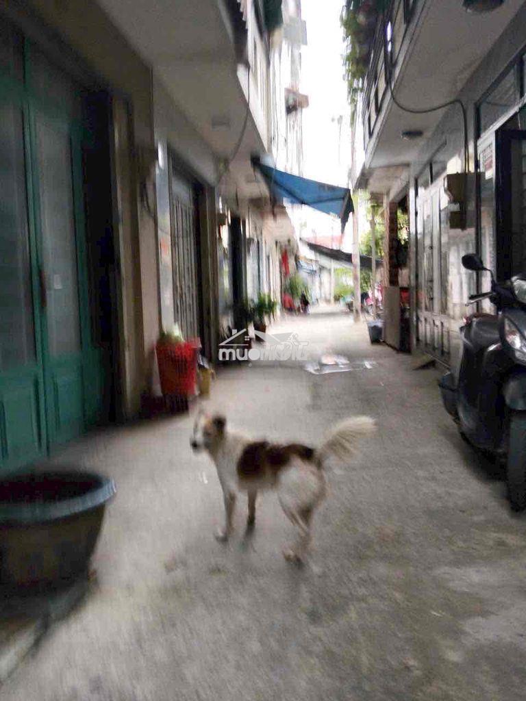 Bán nhà trong khu vạn xuân 38