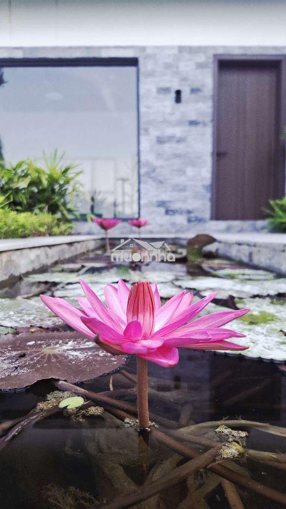 Chính chủ bán villa nghỉ dưỡng 1000m² có 200m² thổ cư. - Ảnh 2