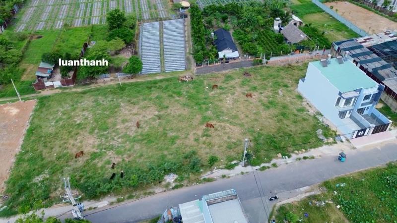 5 lô đất xuân thới thượng 20, bà điêm-hóc môn ( 5×24) 100m² full thổ - Ảnh 2