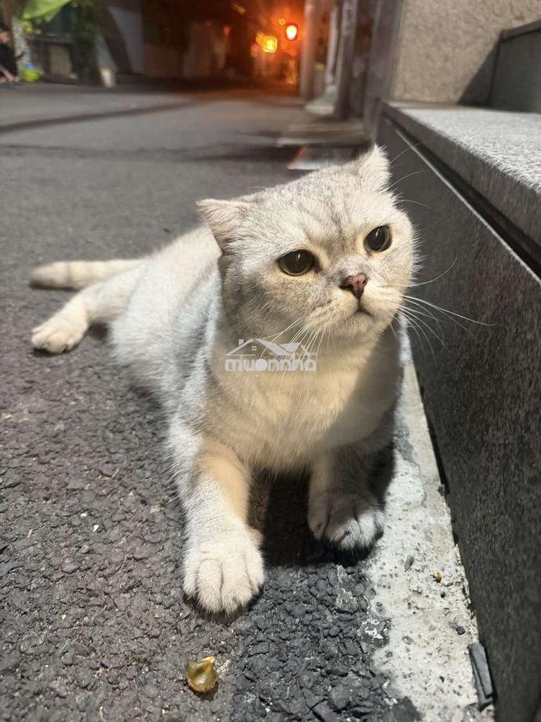 Bán nhà đẹp dọn vào ở ngay khu quận 3!!!💯 - Ảnh 4