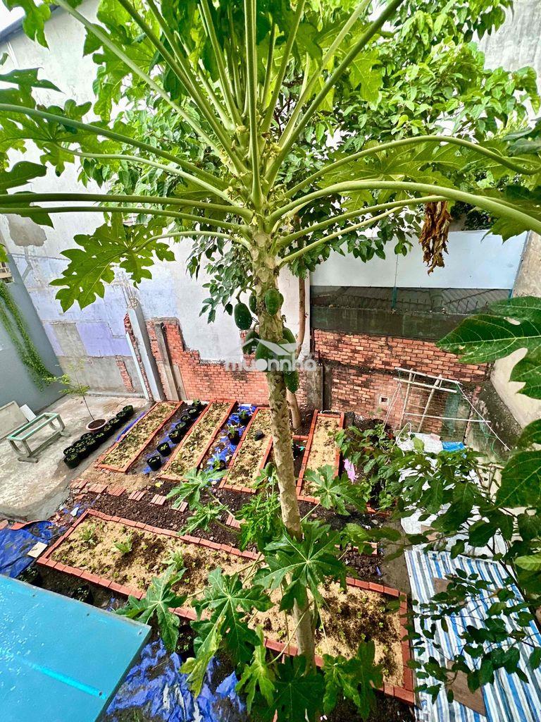 Nhà có vườn có rau sạch