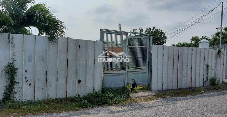 Đất nền nguyễn thị đành cách ql22 100m - Ảnh 2