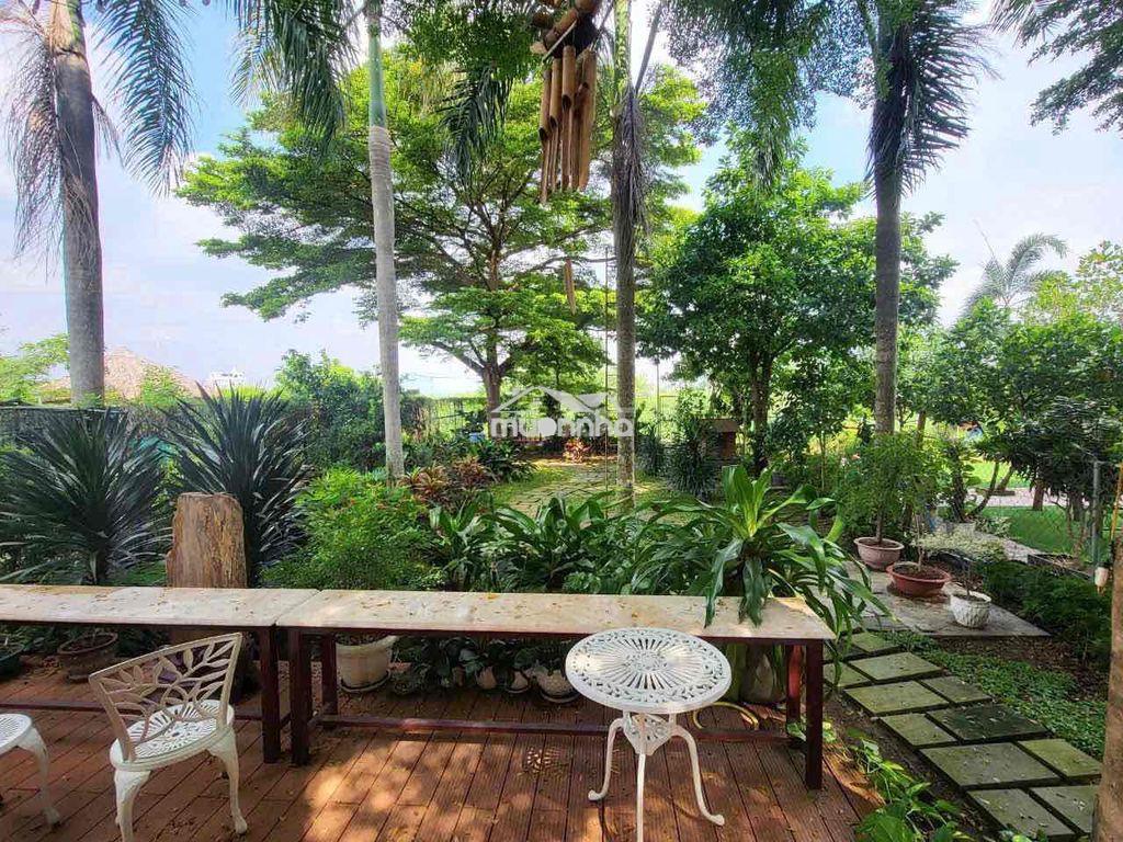 Cho thuê biệt thư sân vườn kdc liên phường q9 giá 45tr/tháng - 4