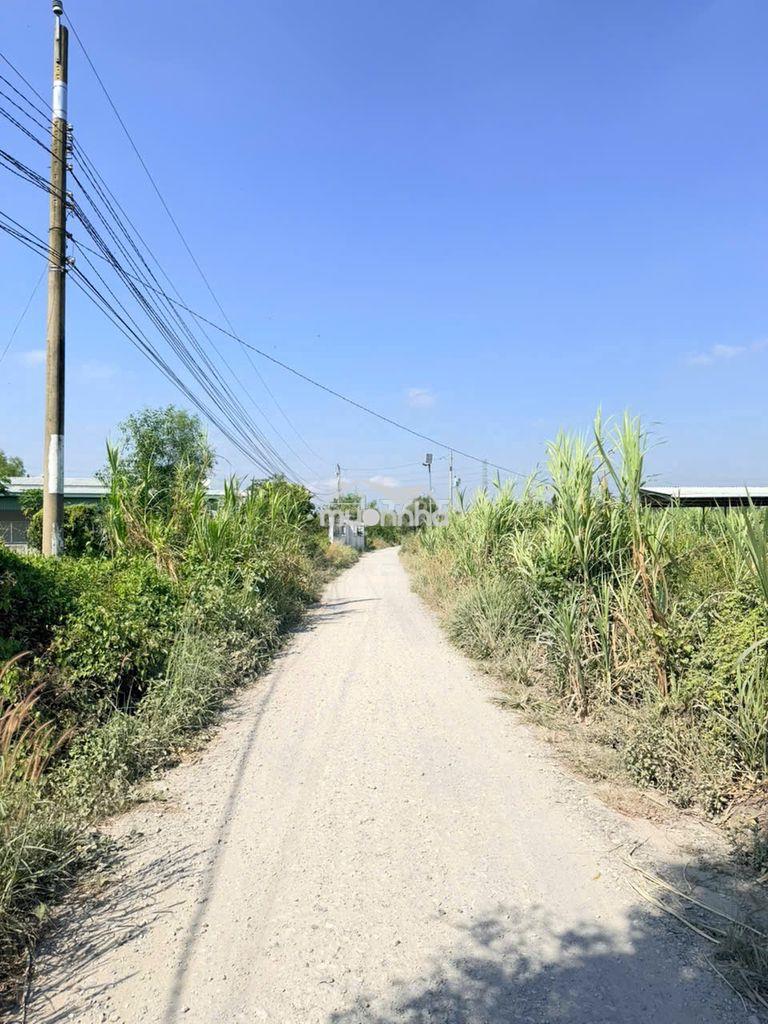 6 tỷ 6 -4822m2 -đất vườn ấp 1, bình đức, long an (tây ninh), đường oto - Ảnh 4