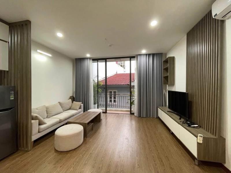 Căn hộ luxury 1pn/1pk mới khai trương ngay lạc long quân - lý thường kiệt - bv thống nhất