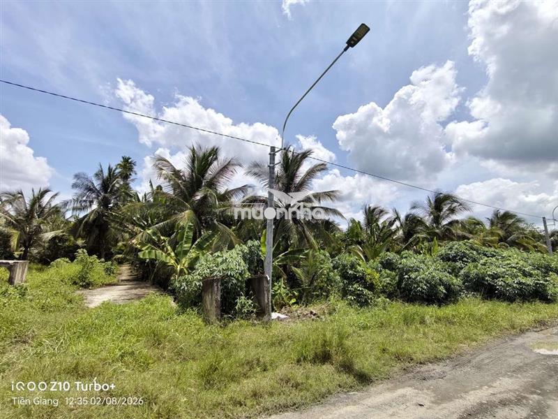4 lô 5x26m sổ riêng, đón đầu đường 6m đang làm