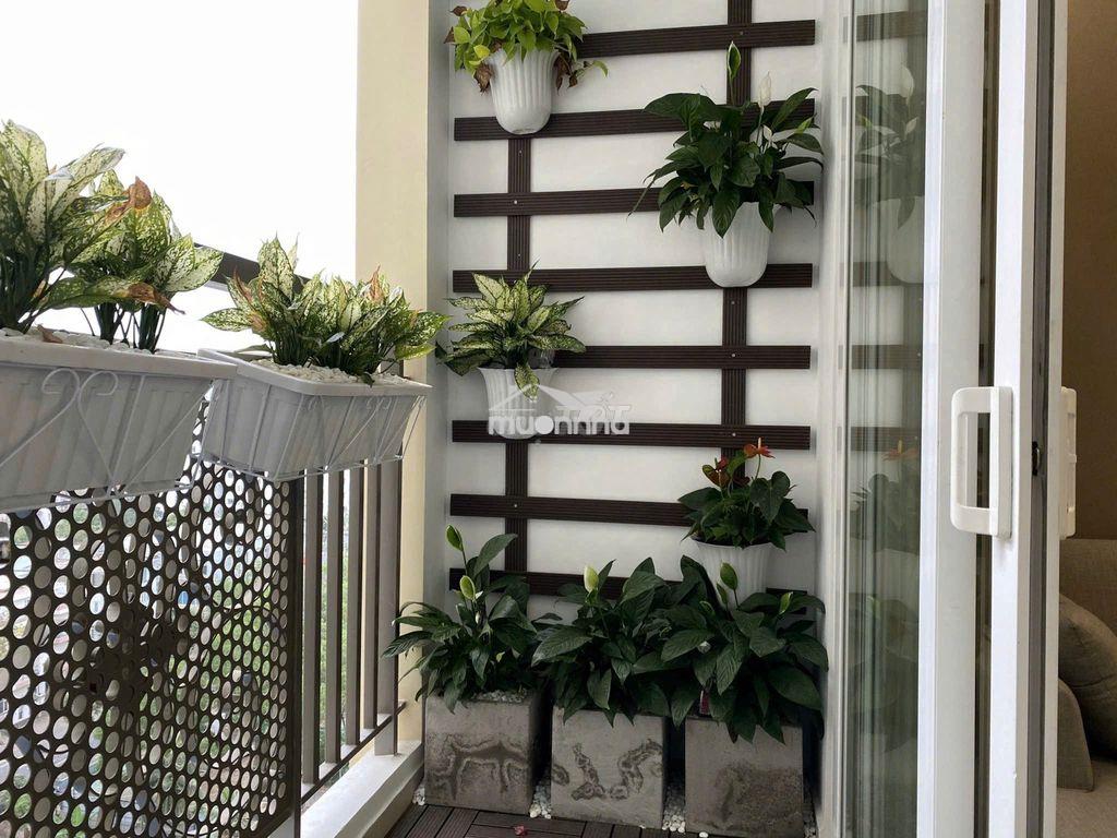 Cho thuê saigon mia 2pn 60m2 12tr 3pn 76m2 15tr - Ảnh 4