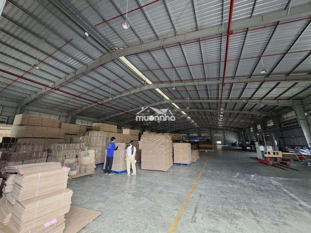 Cho thuê xưởng phú chánh , gần tp mới gần vsip 2 bình dương - Ảnh 3