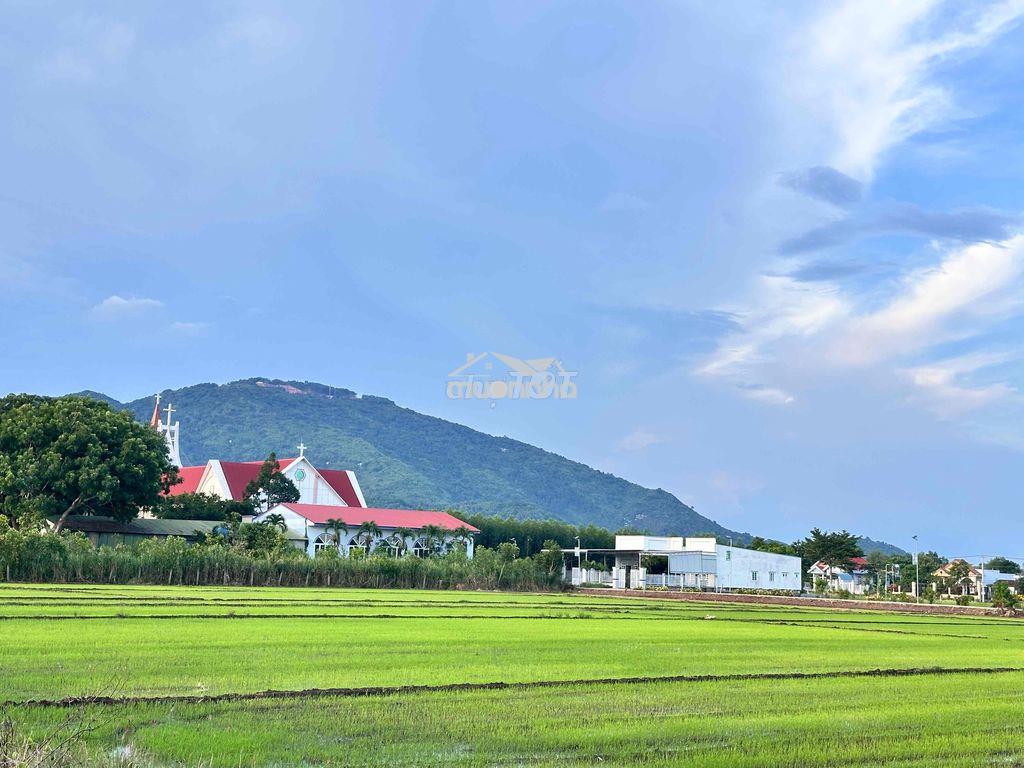 Homestay mini - Ảnh 2