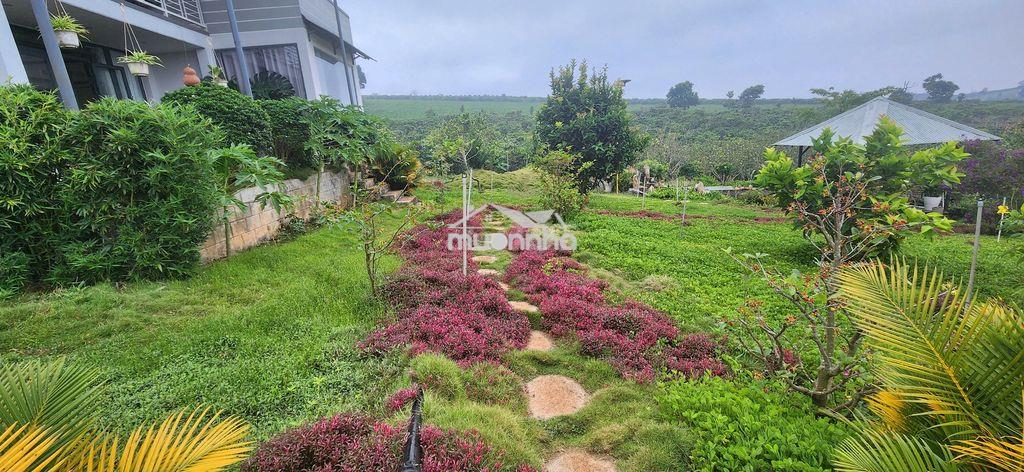 Cho thuê nhà biệt thự vườn 6000m2 - Ảnh 3