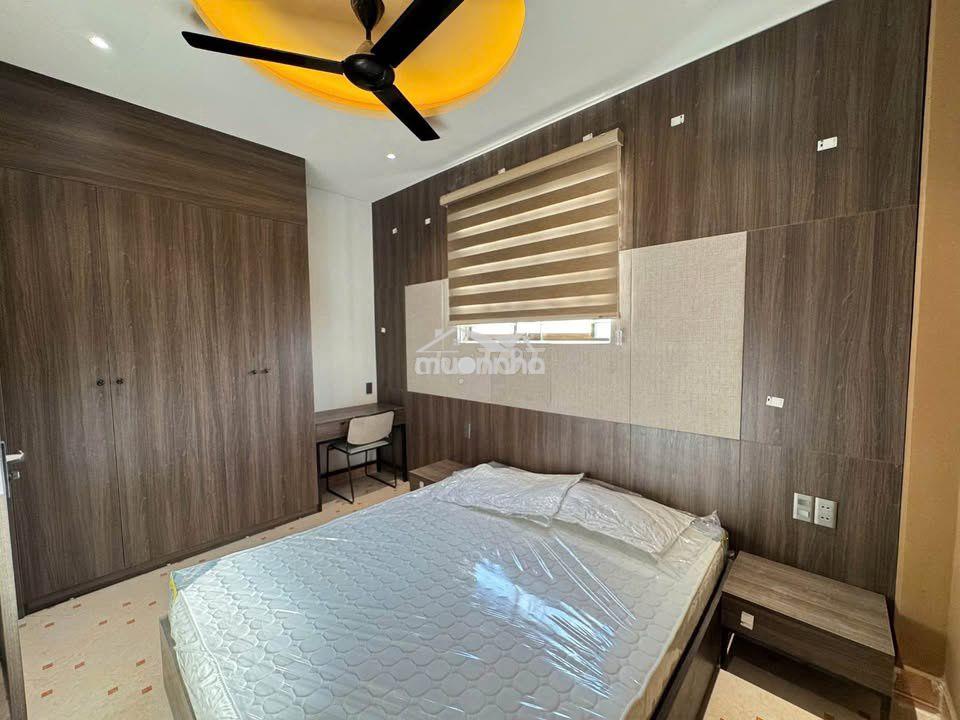 Bán căn hộ mini đường mai lão bạng - Ảnh 3