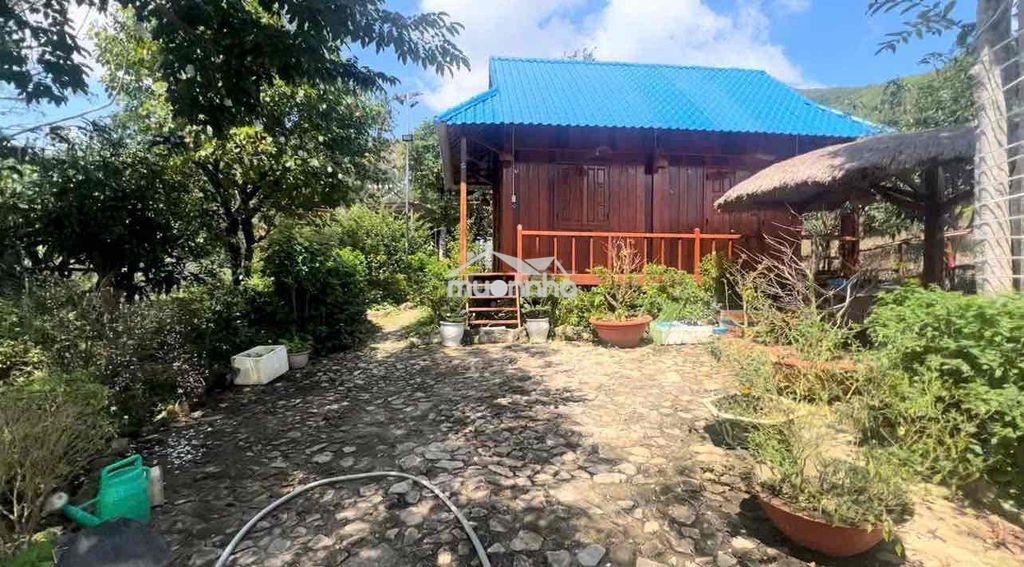 Cho thuê 3 nhà sân vườn nghỉ dưỡng biệt lập 2000m2 - Ảnh 2