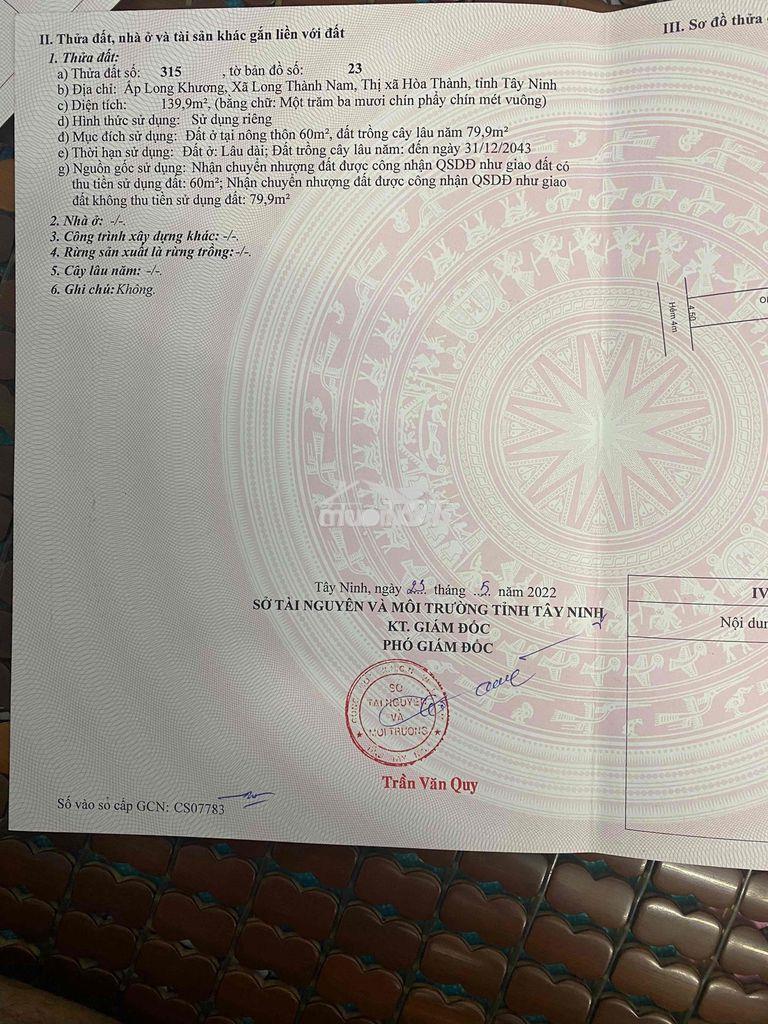 Cần bán lô đất mặt tiền đưởng trần phú - Ảnh 3