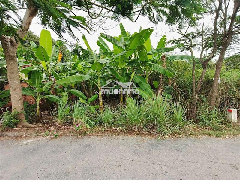 Bán đất mt đường hóc hưu, qui đức,  bình chánh. 180m² đất cln, 1,4 tỷ
