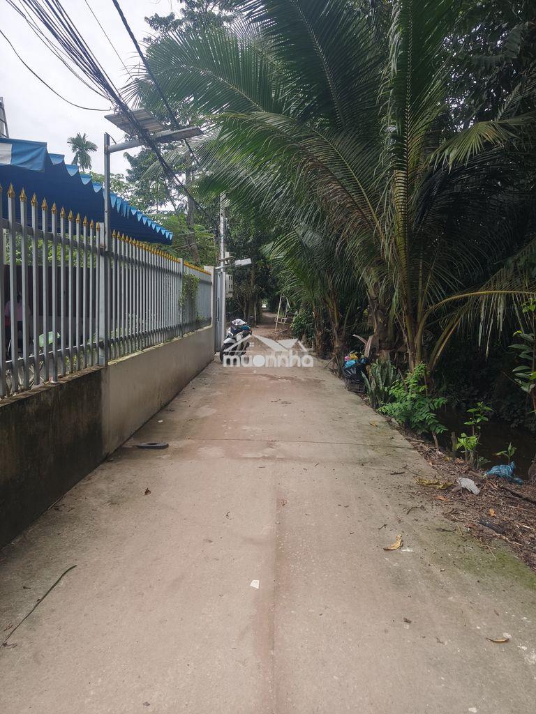Đất 5*28 nguyễn chí thanh/ bình nhâm - Ảnh 3