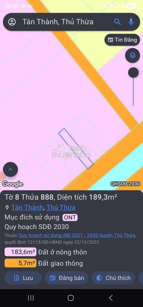 1000m2 thổ cư thủ thừa,shcc, hxh, đất vuông vức - Ảnh 3